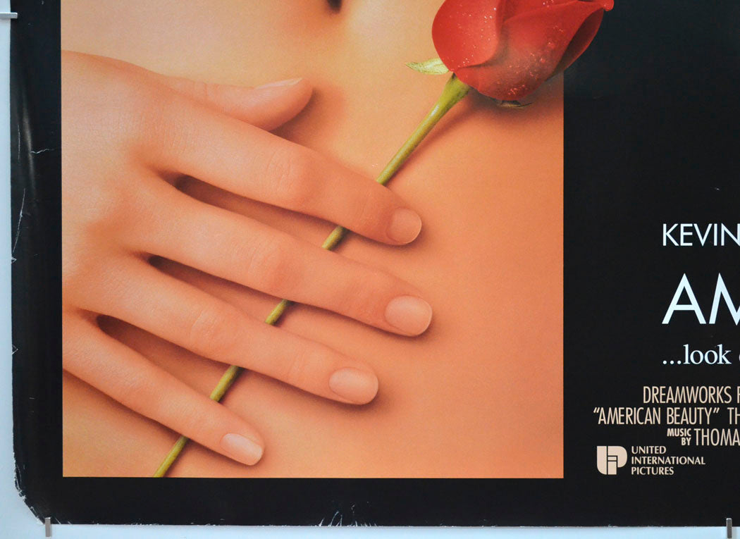 AMERICAN BEAUTY (Bottom Left) Cinema Quad Movie Poster 