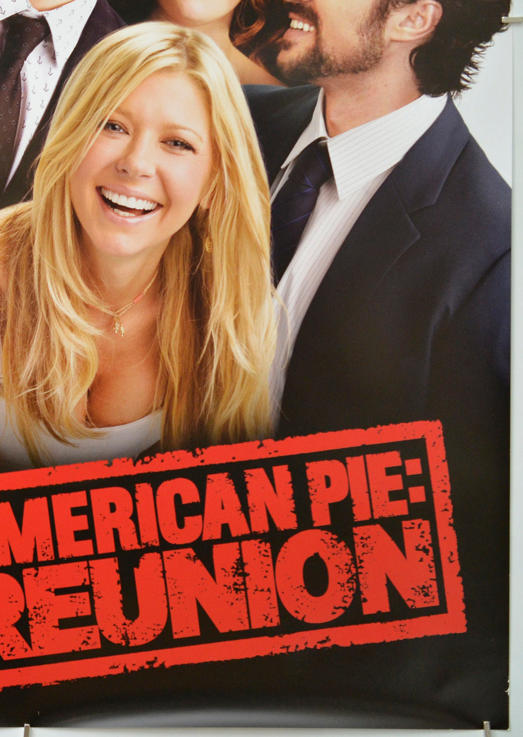 American Pie Reunion (Bottom Right) Cinema One Sheet Movie Poster 