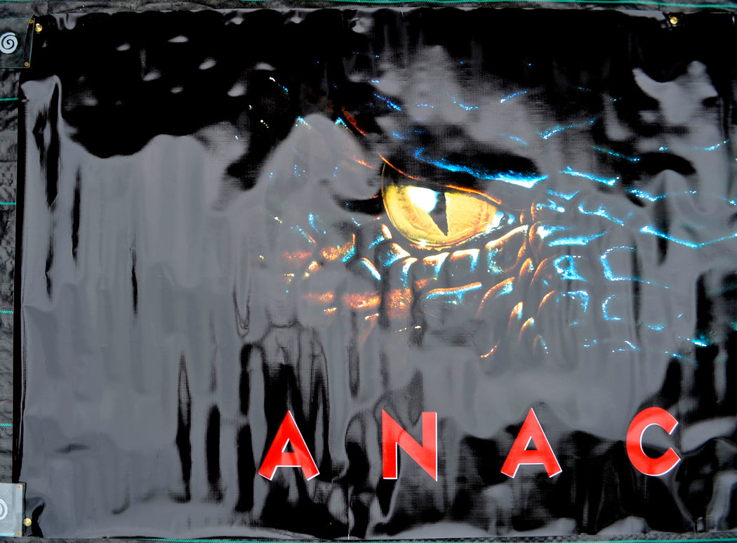 ANACONDA Cinema BANNER Left  