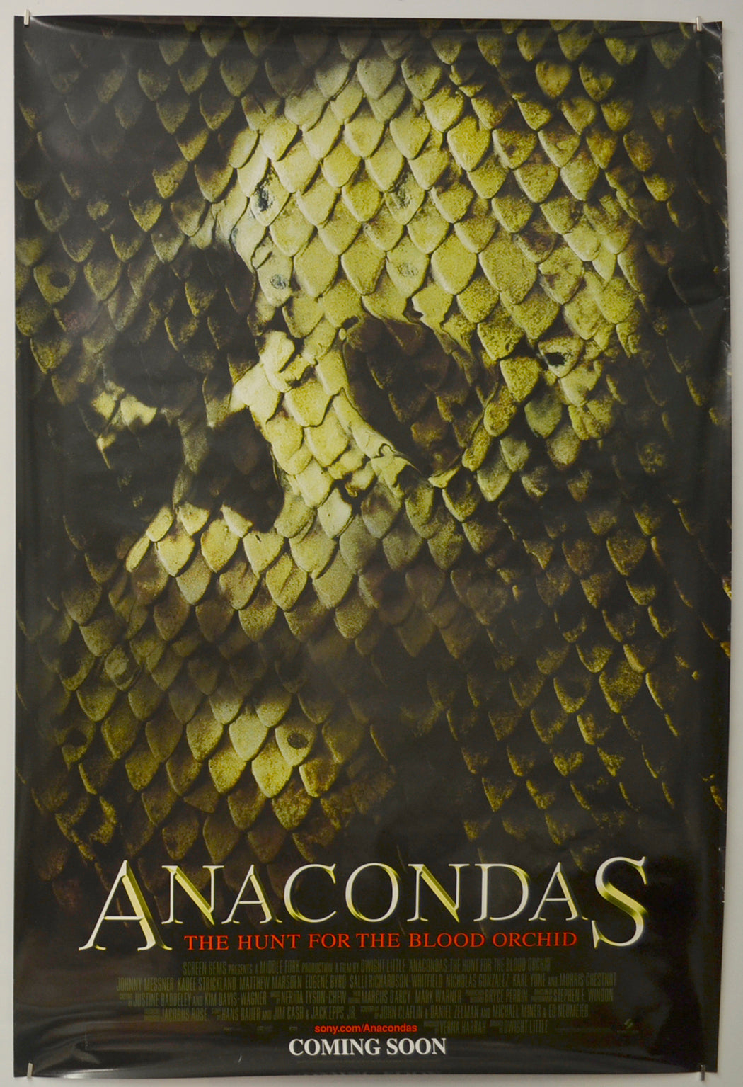 Anacondas  (Teaser / Advance Version) Original One Sheet Poster - Film Poster - Movie Poster