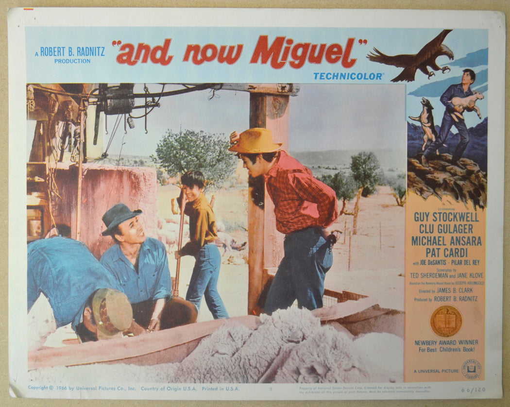 AND NOW MIGUEL (Card 8) Cinema Lobby Card Set 