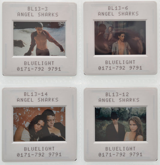 Angel Sharks - Original 35mm Slides - Cinema Press Slides