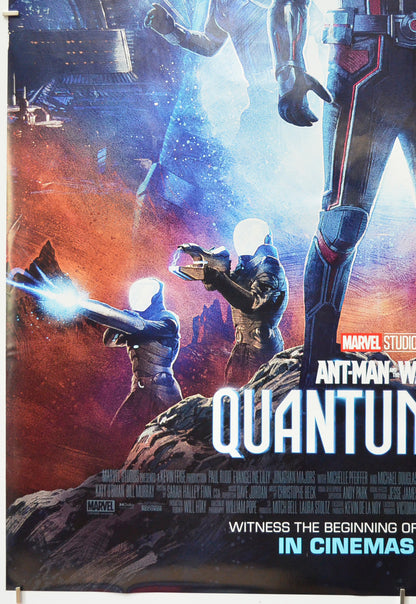 ANT-MAN AND THE WASP QUANTUMANIA (Bottom Left) Cinema One Sheet Movie Poster 