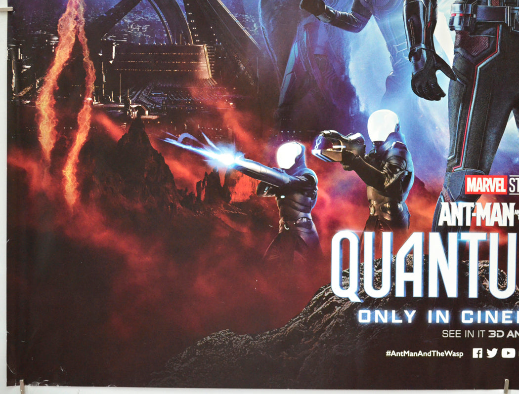 ANT-MAN AND THE WASP QUANTUMANIA (Bottom Left) Cinema Quad Movie Poster 