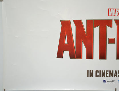 ANT-MAN (Bottom Left) Cinema Quad Movie Poster 