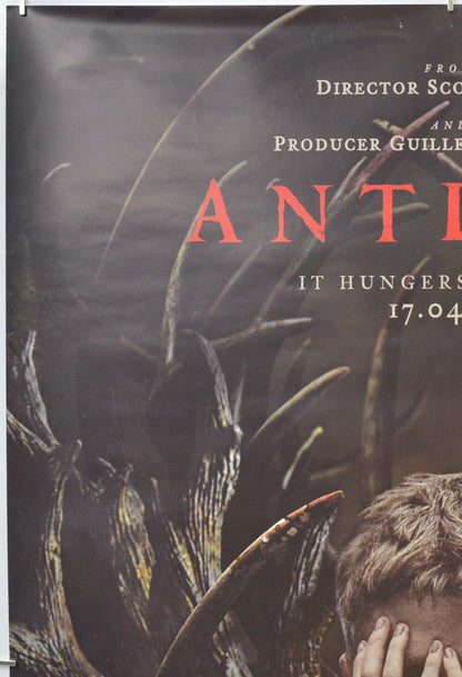 ANTLERS (Top Left) Cinema One Sheet Movie Poster 