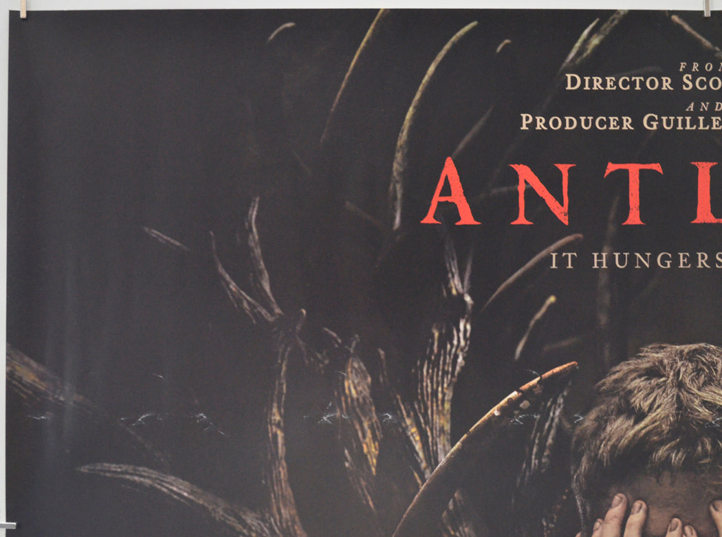 ANTLERS (Top Left) Cinema Quad Movie Poster 