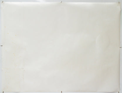 Apollo 13 (Back) Cinema Quad Movie Poster 
