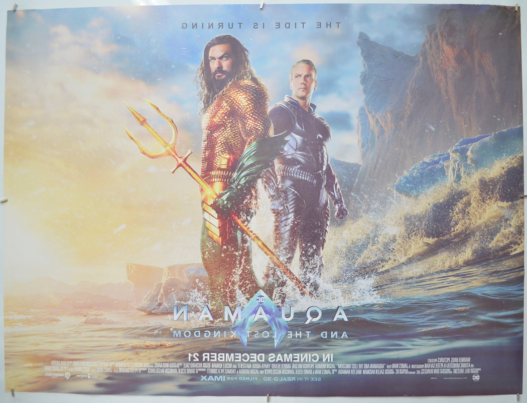 AQUAMAN AND THE LOST KINGDOM (Back) Cinema Quad Movie Poster 