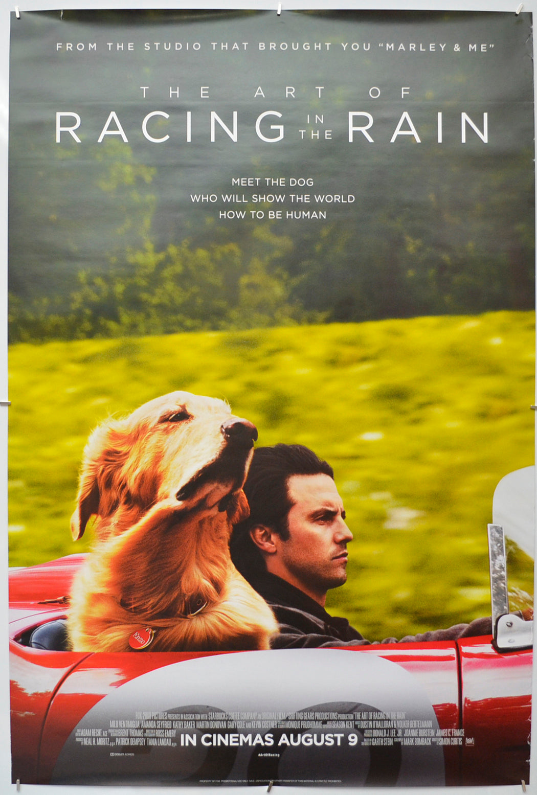 The Art of Racing in the Rain - Original One Sheet Poster - Film Poster - Movie Poster