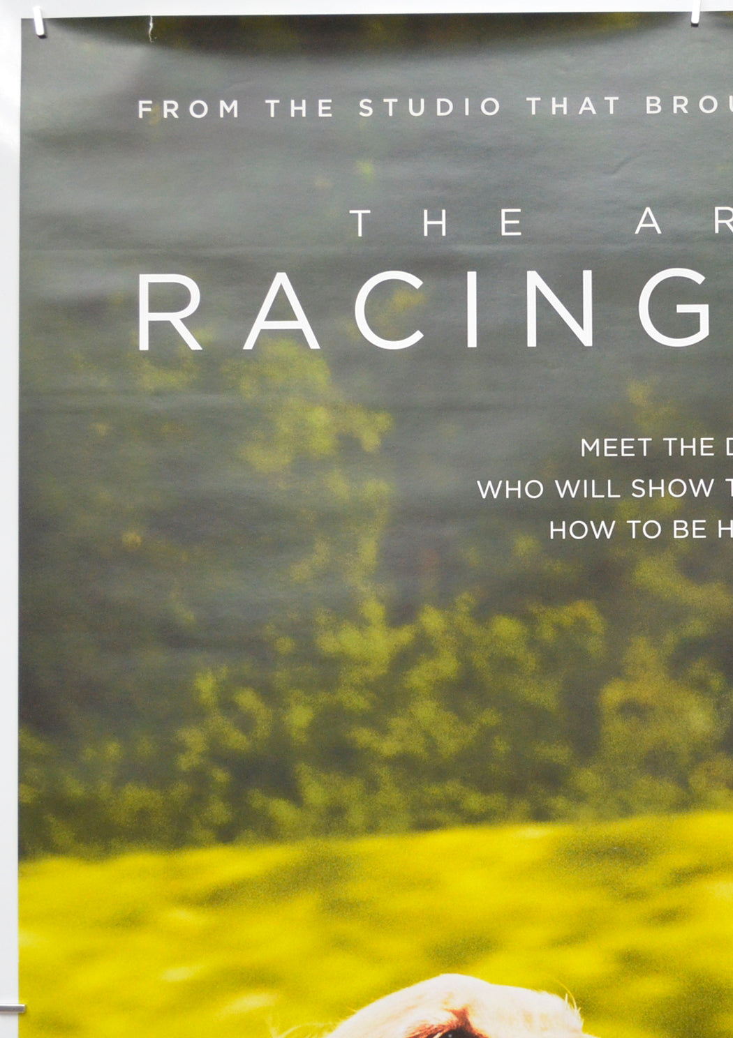 THE ART OF RACING IN THE RAIN (Top Left) Cinema One Sheet Movie Poster 