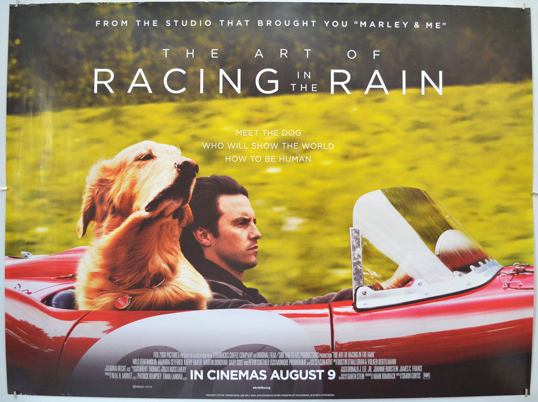 The Art of Racing in the Rain  Original Quad Poster - Film Poster - Movie Poster