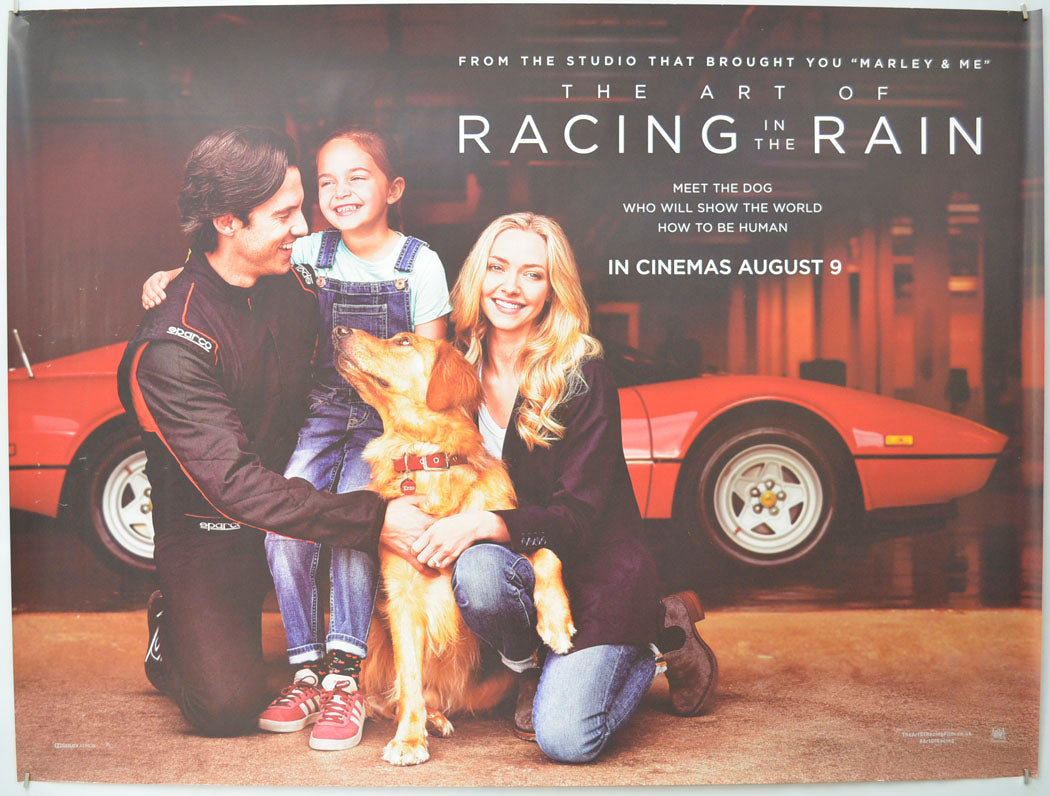 The Art of Racing in the Rain (Teaser / Advance Version) Original Quad Poster - Film Poster - Movie Poster