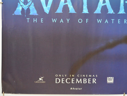 AVATAR: THE WAY OF WATER (Bottom Left) Cinema Quad Movie Poster 