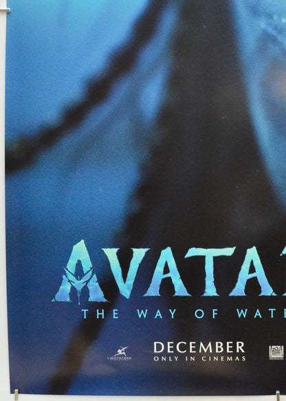 Avatar: The Way Of Water (Bottom Left) Cinema One Sheet Movie Poster 