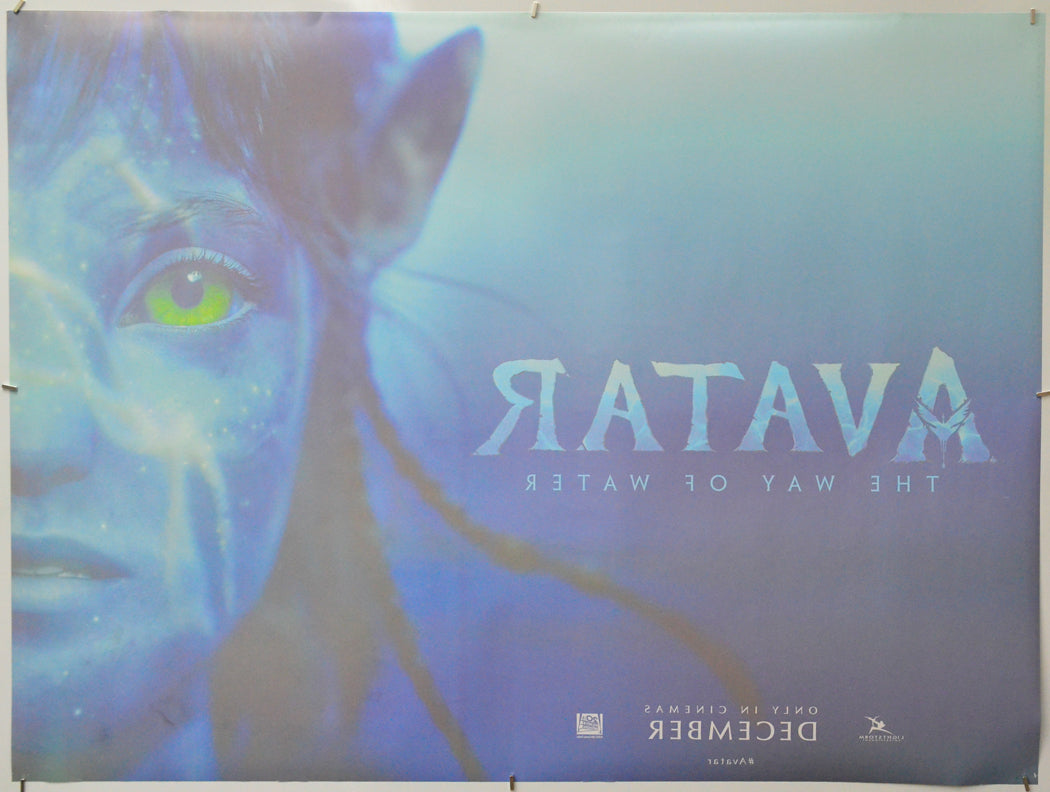 Avatar: The Way Of Water (Back) Cinema Quad Movie Poster 