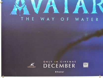 Avatar: The Way Of Water (Bottom Left) Cinema Quad Movie Poster 