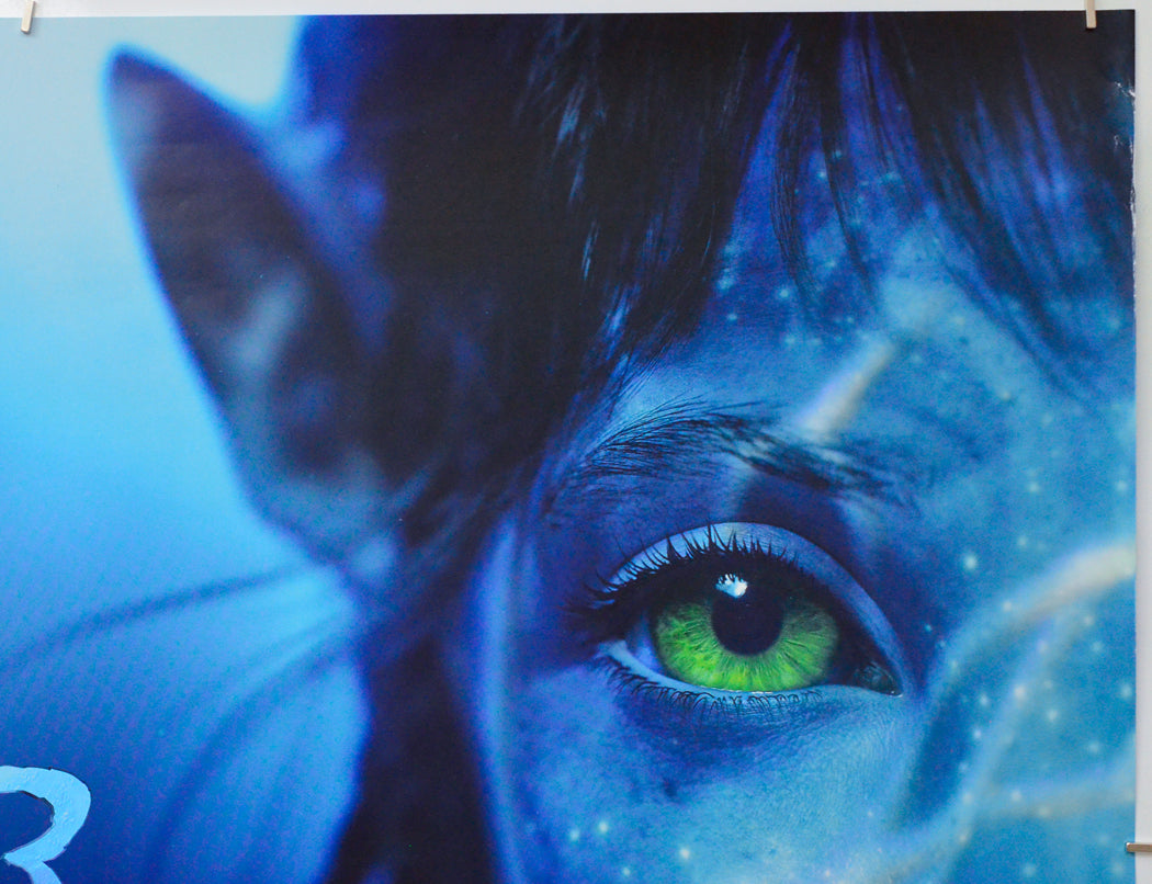 Avatar: The Way Of Water (Top Right) Cinema Quad Movie Poster 