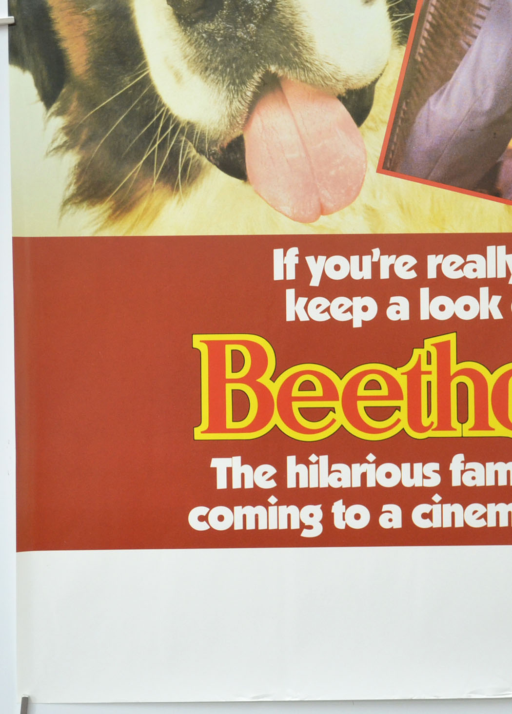 BEETHOVEN (Bottom Left) Cinema Double Crown Movie Poster 