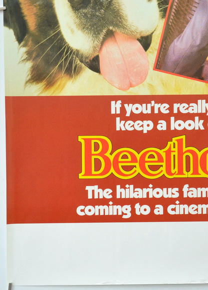 BEETHOVEN (Bottom Left) Cinema Double Crown Movie Poster 