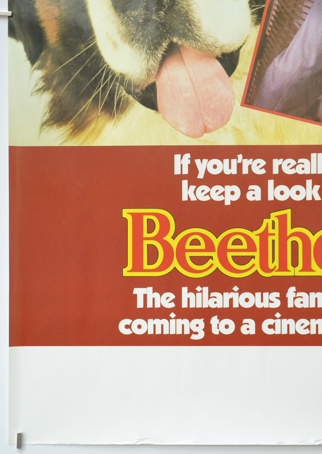 BEETHOVEN (Bottom Left) Cinema Double Crown Movie Poster 