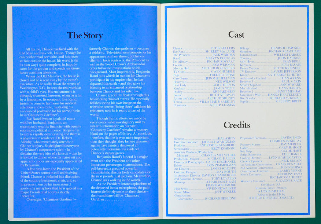 Being There - Synopsis Booklet - Inside