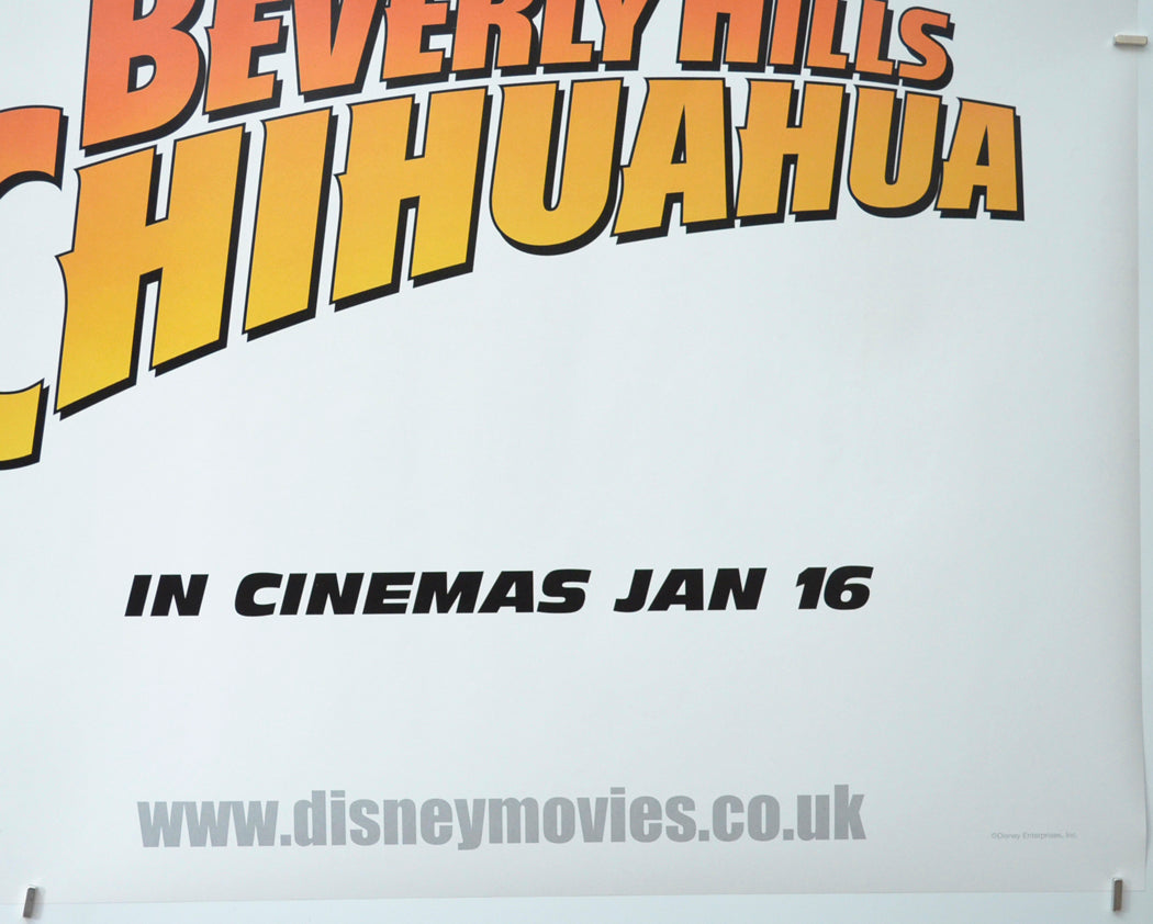 BEVERLY HILLS CHIHUAHUA (Bottom Right) Cinema Quad Movie Poster 