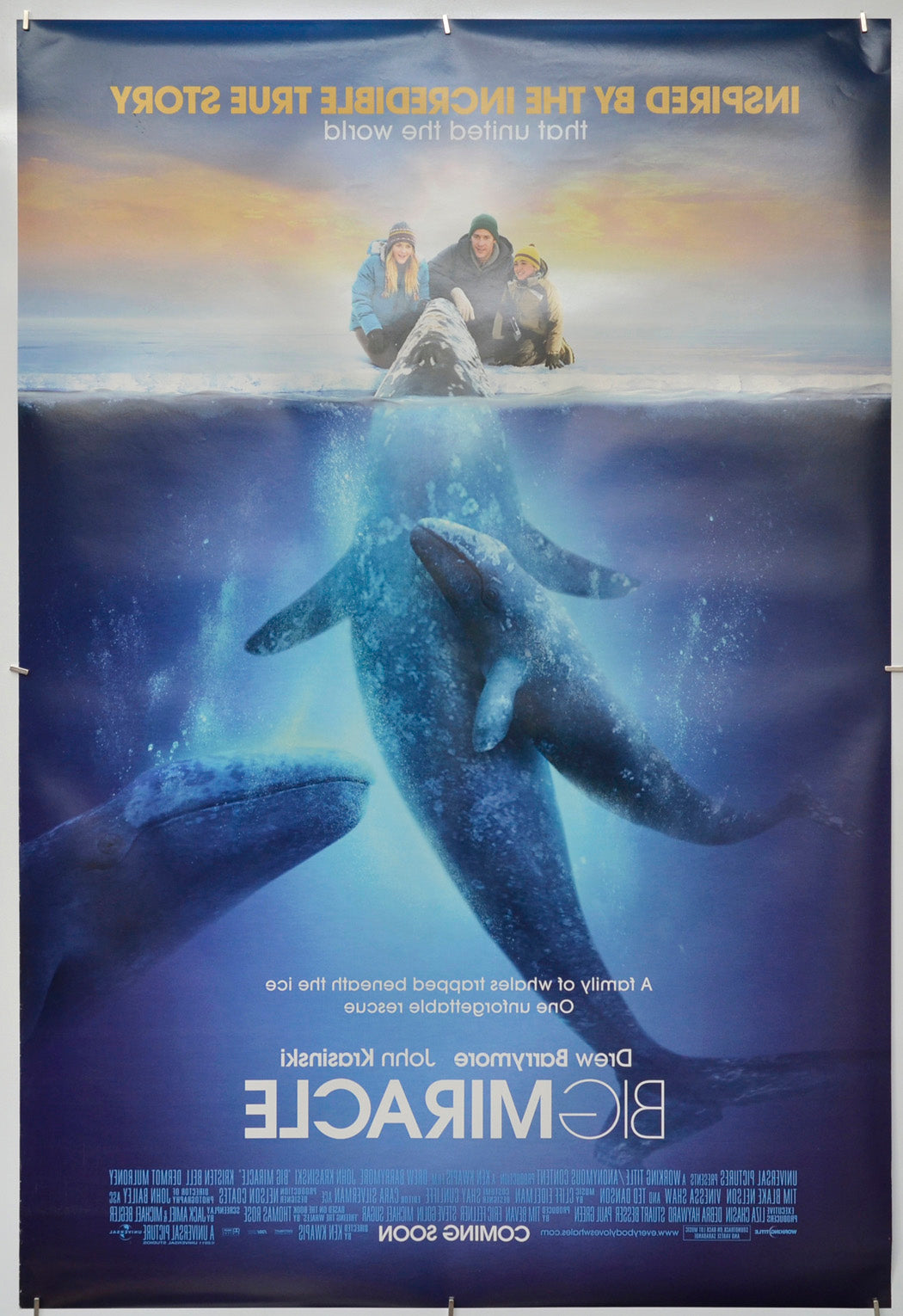 Big Miracle (Back) Cinema One Sheet Movie Poster 