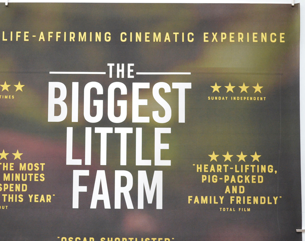 THE BIGGEST LITTLE FARM (Top Right) Cinema Quad Movie Poster 