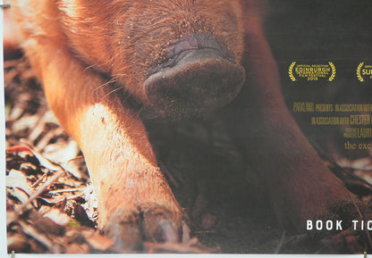 THE BIGGEST LITTLE FARM (Bottom Left) Cinema Quad Movie Poster 