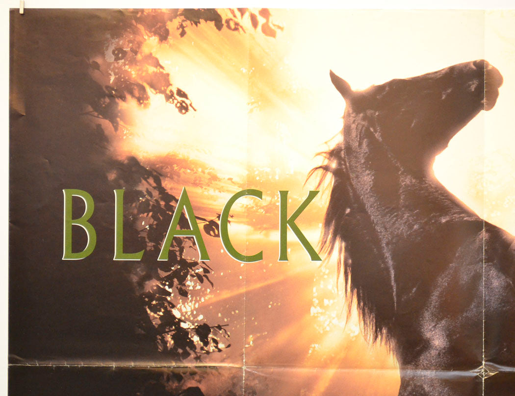 BLACK BEAUTY (Top Left) Cinema Quad Movie Poster 