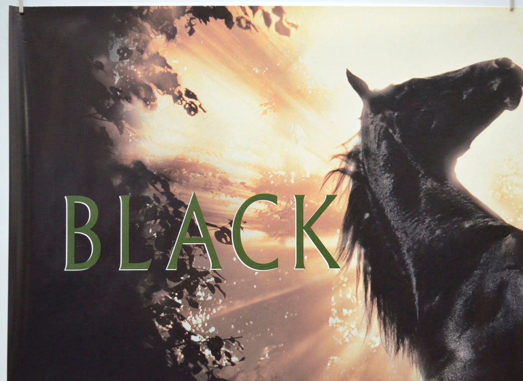 BLACK BEAUTY (Top Left) Cinema Quad Movie Poster 