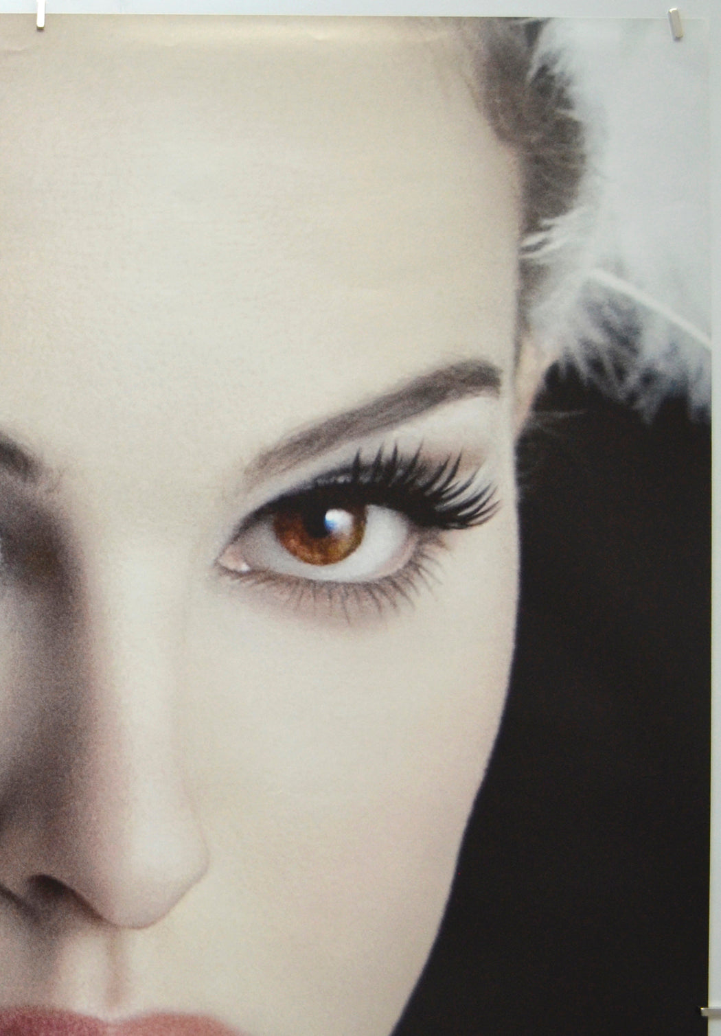 Black Swan (Top Right) Cinema One Sheet Movie Poster 