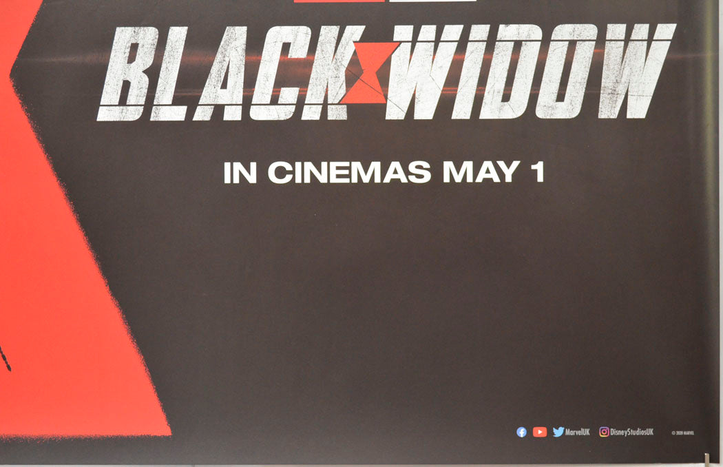 BLACK WIDOW (Bottom Right) Cinema Quad Movie Poster 