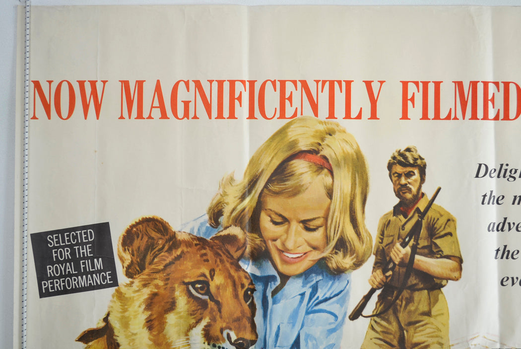 BORN FREE (Top Left) Cinema Quad Movie Poster 