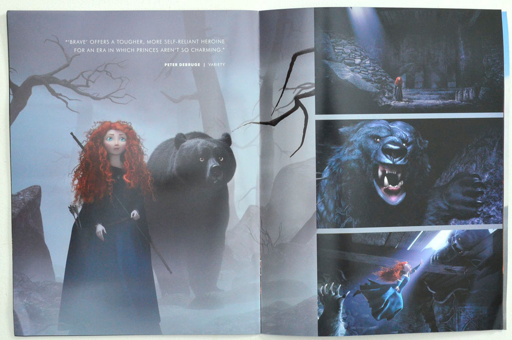 BRAVE – Colour Press Brochure- Inside