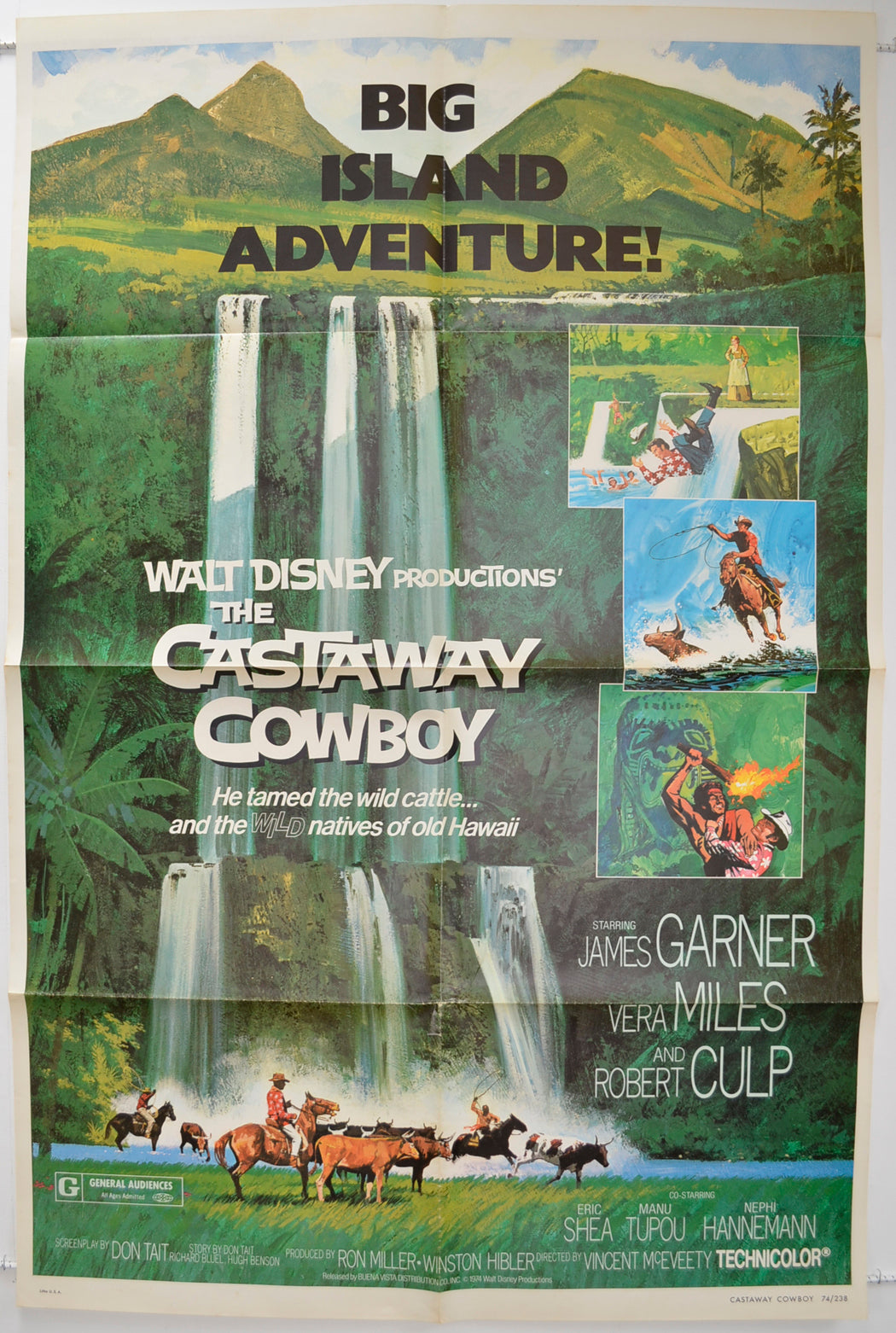 The Castaway Cowboy  Original One Sheet Poster - Film Poster - Movie Poster 