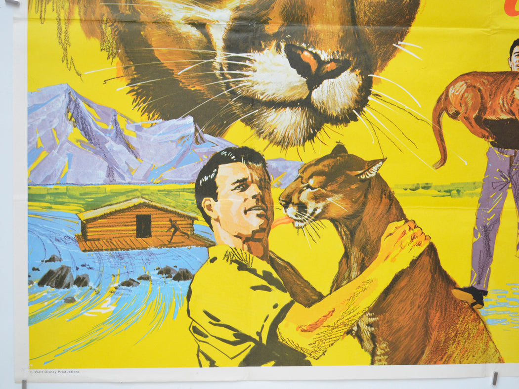 CHARLIE THE LONESOME COUGAR (Bottom Left) Cinema Quad Movie Poster 