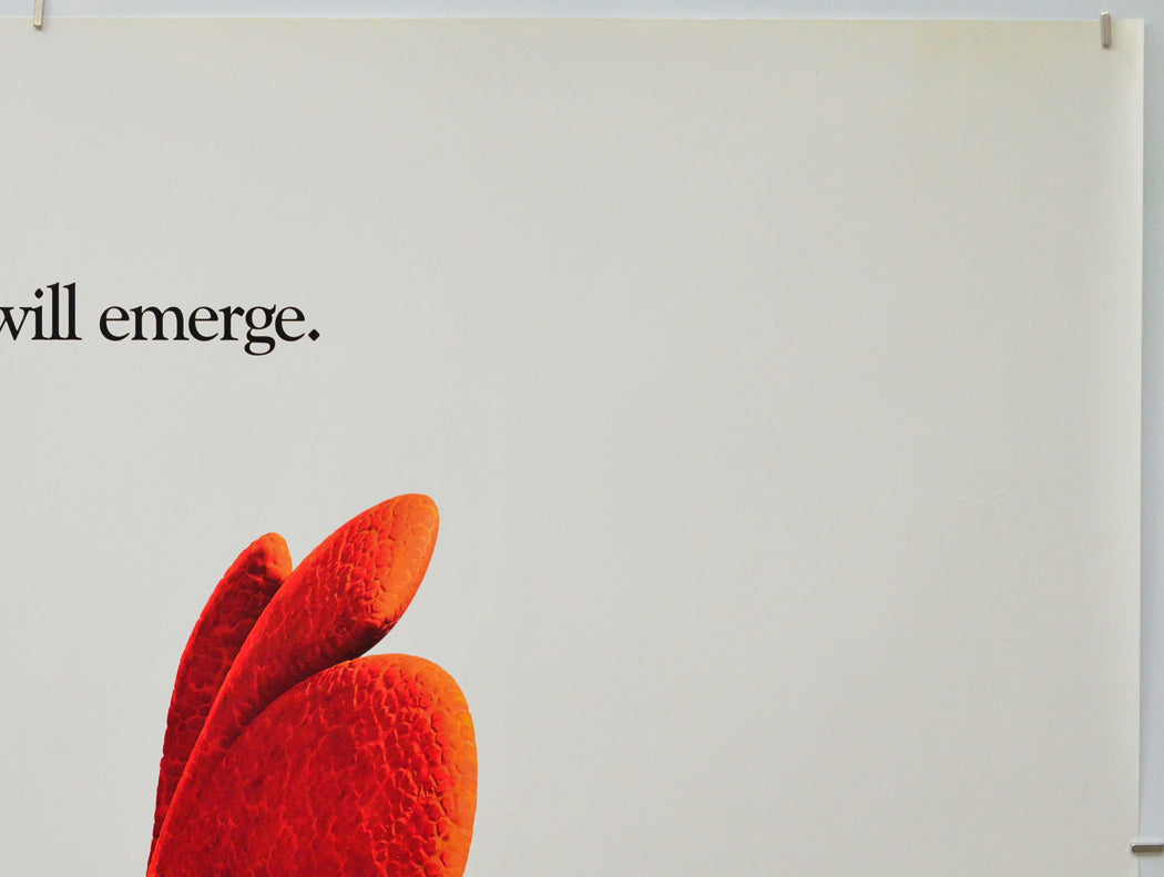 Chicken Little (Top Right) Cinema Quad Movie Poster 