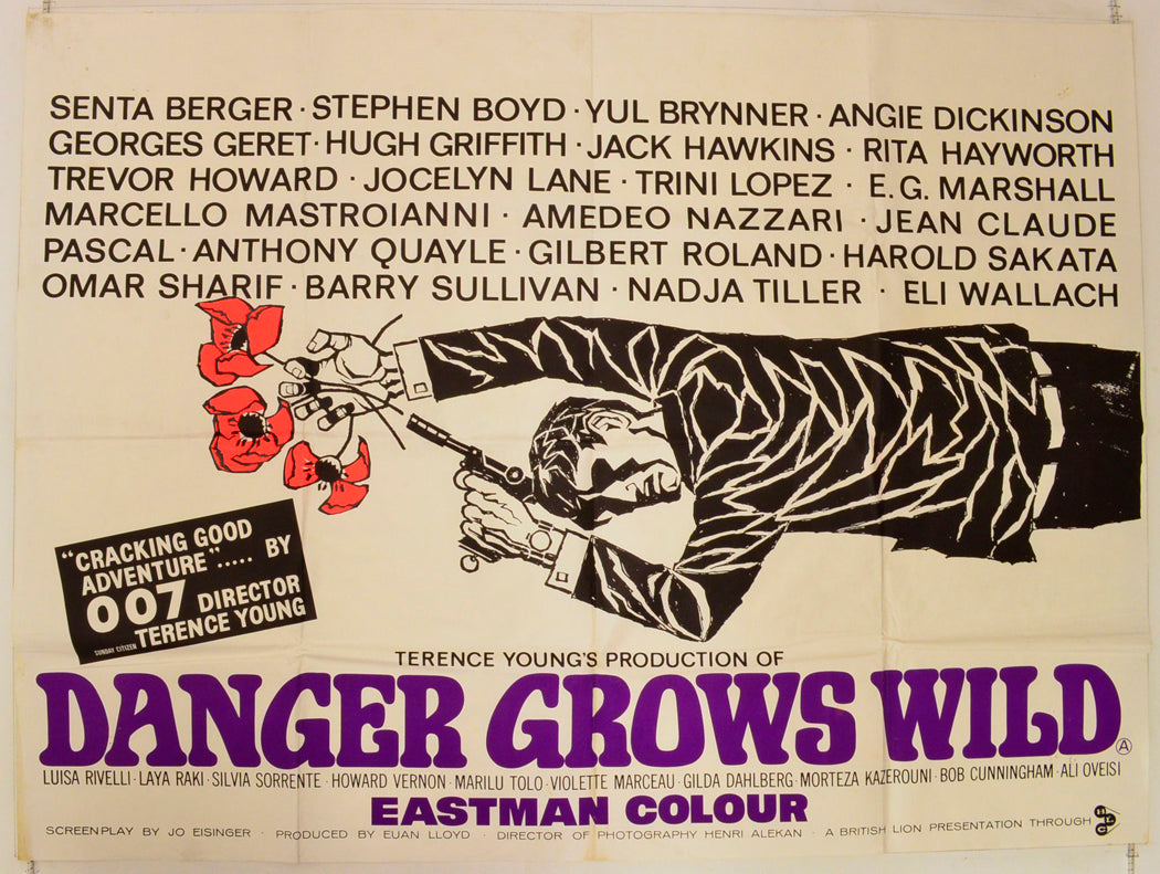 Danger Grows Wild   (a.k.a. Poppies Are Also Flowers) Original British Quad Poster - Film Poster - Movie Poster