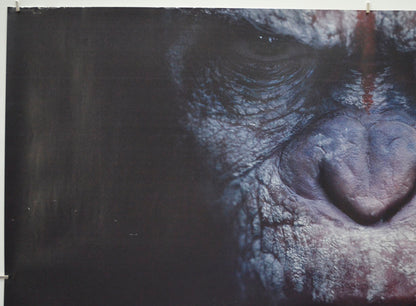 DAWN OF THE PLANET OF THE APES (Top Left) Cinema Quad Movie Poster 