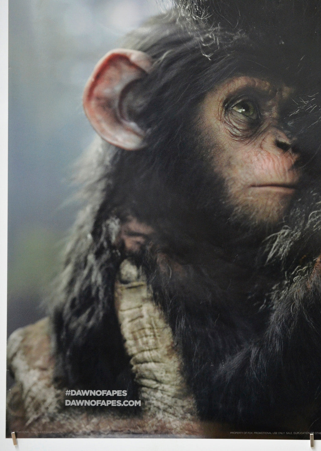 Dawn Of The Planet Of The Apes (Bottom Left) Cinema One Sheet Movie Poster 