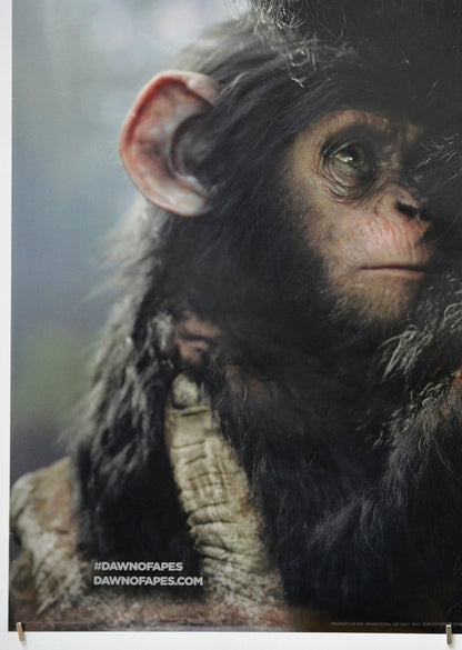 Dawn Of The Planet Of The Apes (Bottom Left) Cinema One Sheet Movie Poster 
