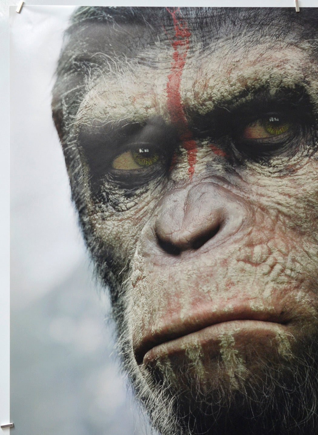 Dawn Of The Planet Of The Apes (Top Left) Cinema One Sheet Movie Poster 