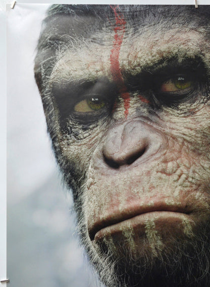 Dawn Of The Planet Of The Apes (Top Left) Cinema One Sheet Movie Poster 