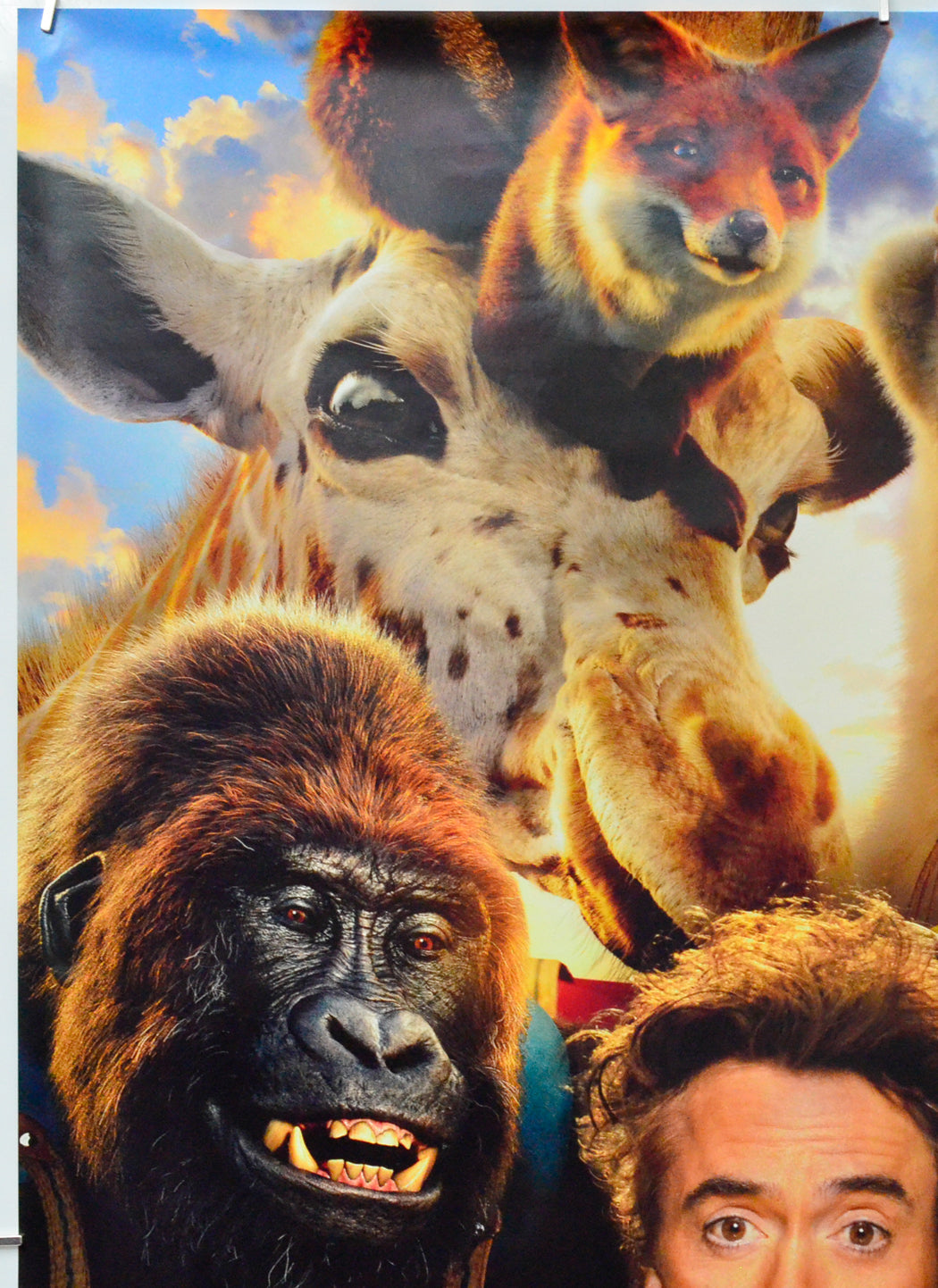 Dolittle (Top Left) Cinema One Sheet Movie Poster 