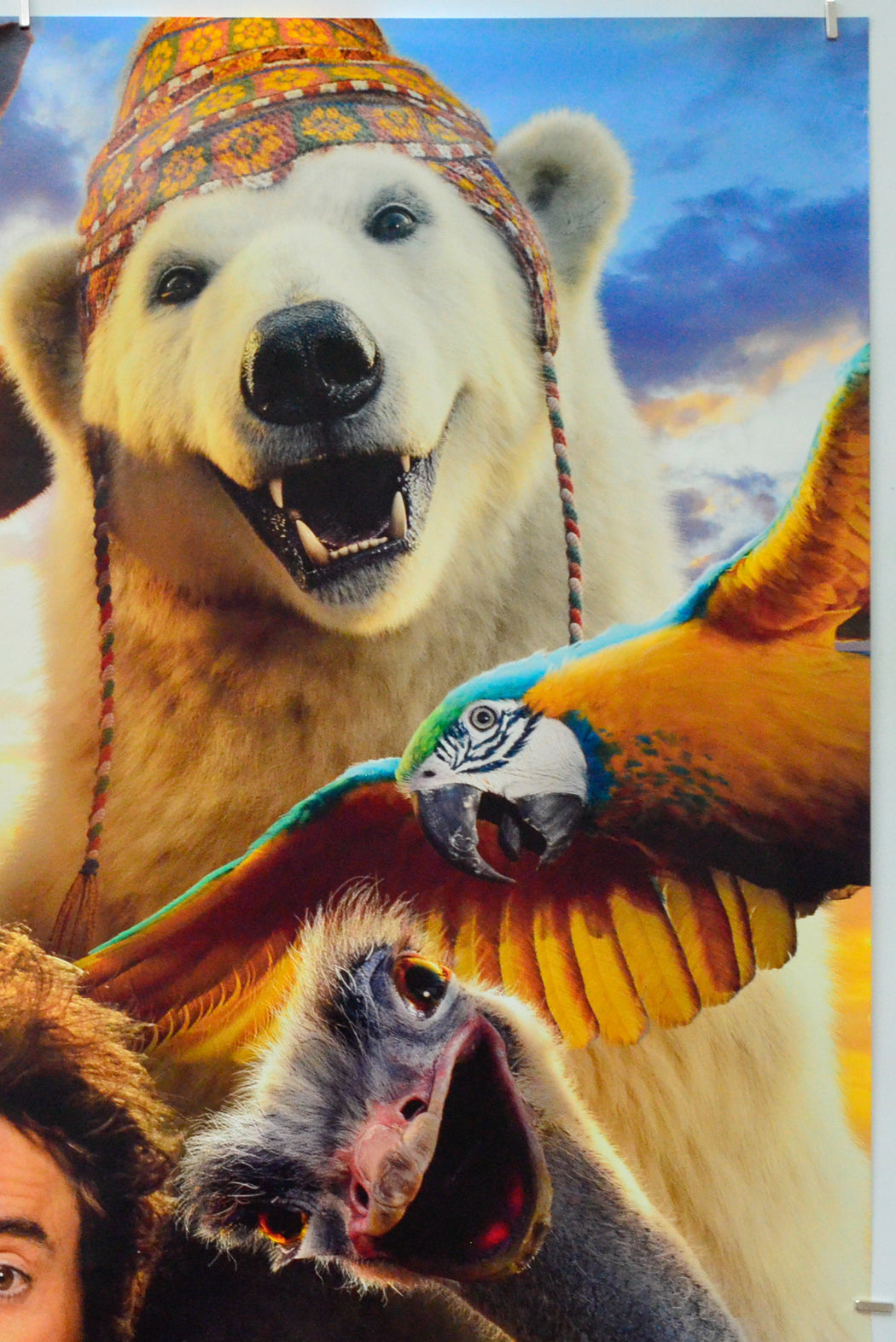 Dolittle (Top Right) Cinema One Sheet Movie Poster 