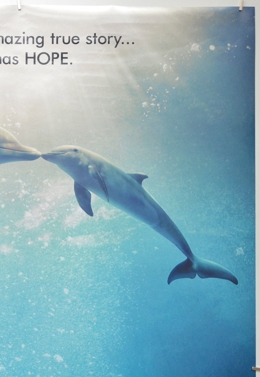 DOLPHIN TALE 2 (Top Right) Cinema One Sheet Movie Poster 