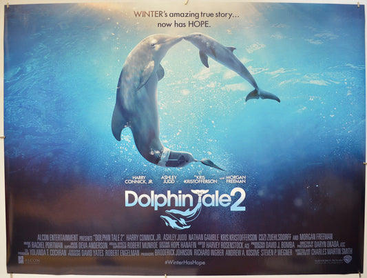 Dolphin Tale 2  Original Quad Poster - Film Poster - Movie Poster