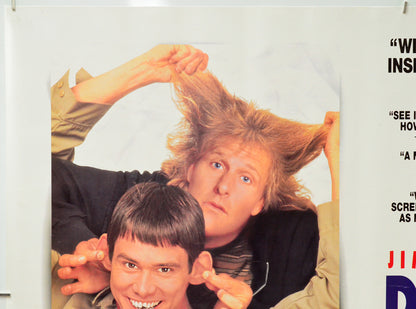 Dumb And Dumber (Top Left) Cinema Quad Movie Poster 